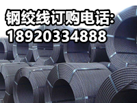 湖南鋼絞線